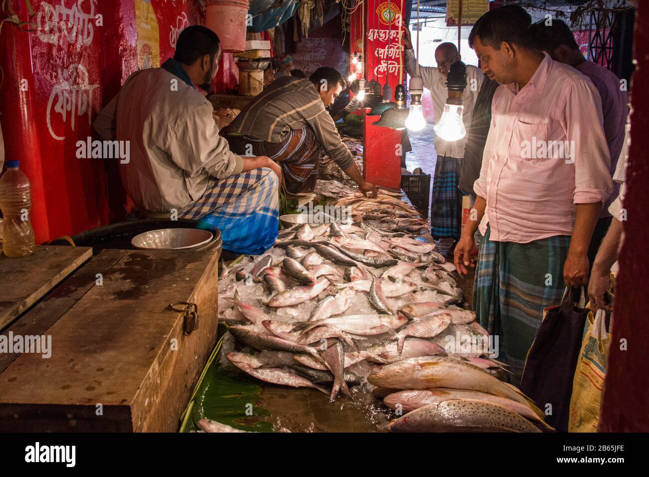 Fish is very important protein source for Bangladeshi people and it also plays an important role for economy. Hilsa is one of popular among them. Stock Photo