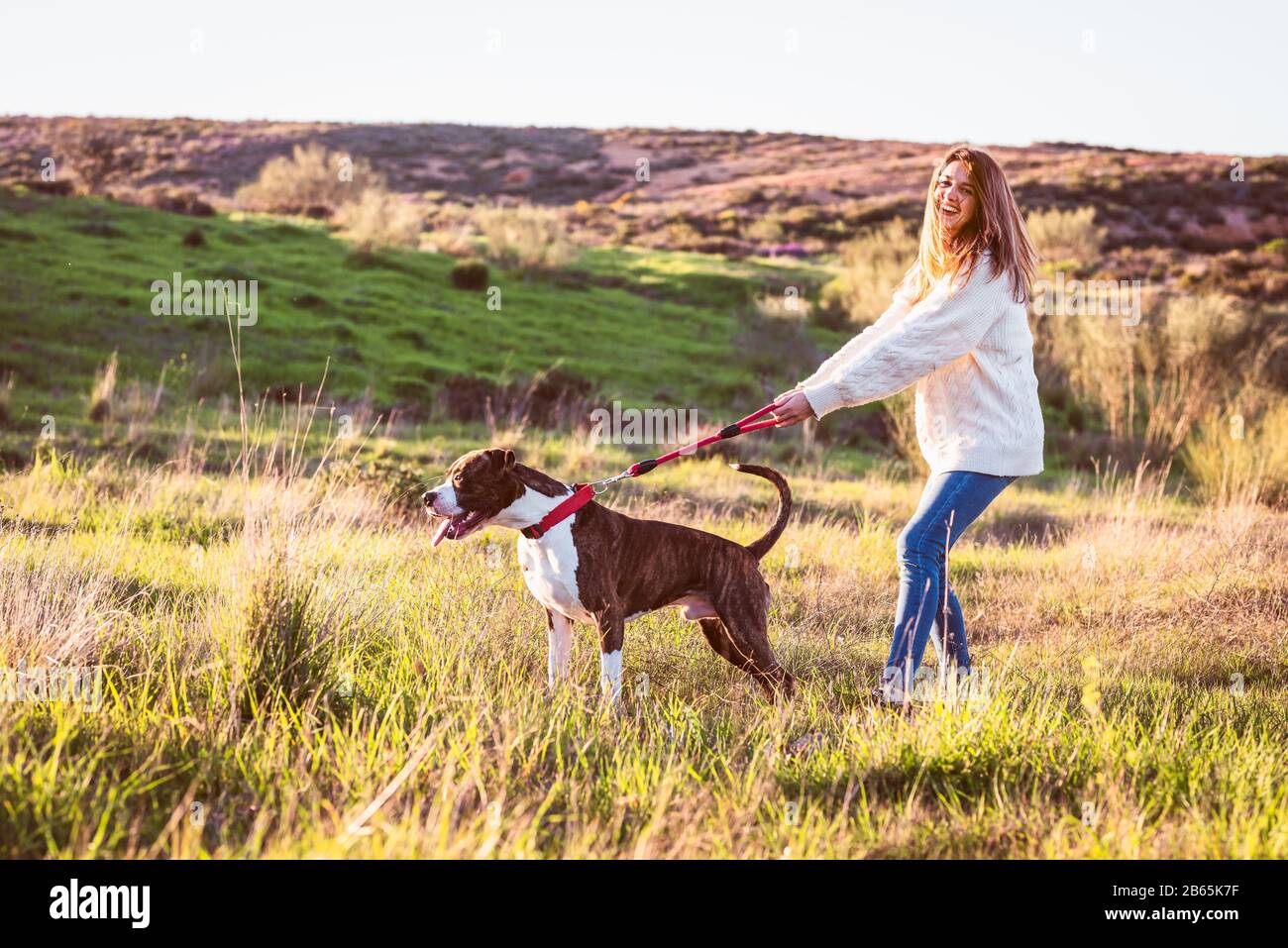 Naughty dog pulling on a leash, happy woman  not controlling the dog Stock Photo