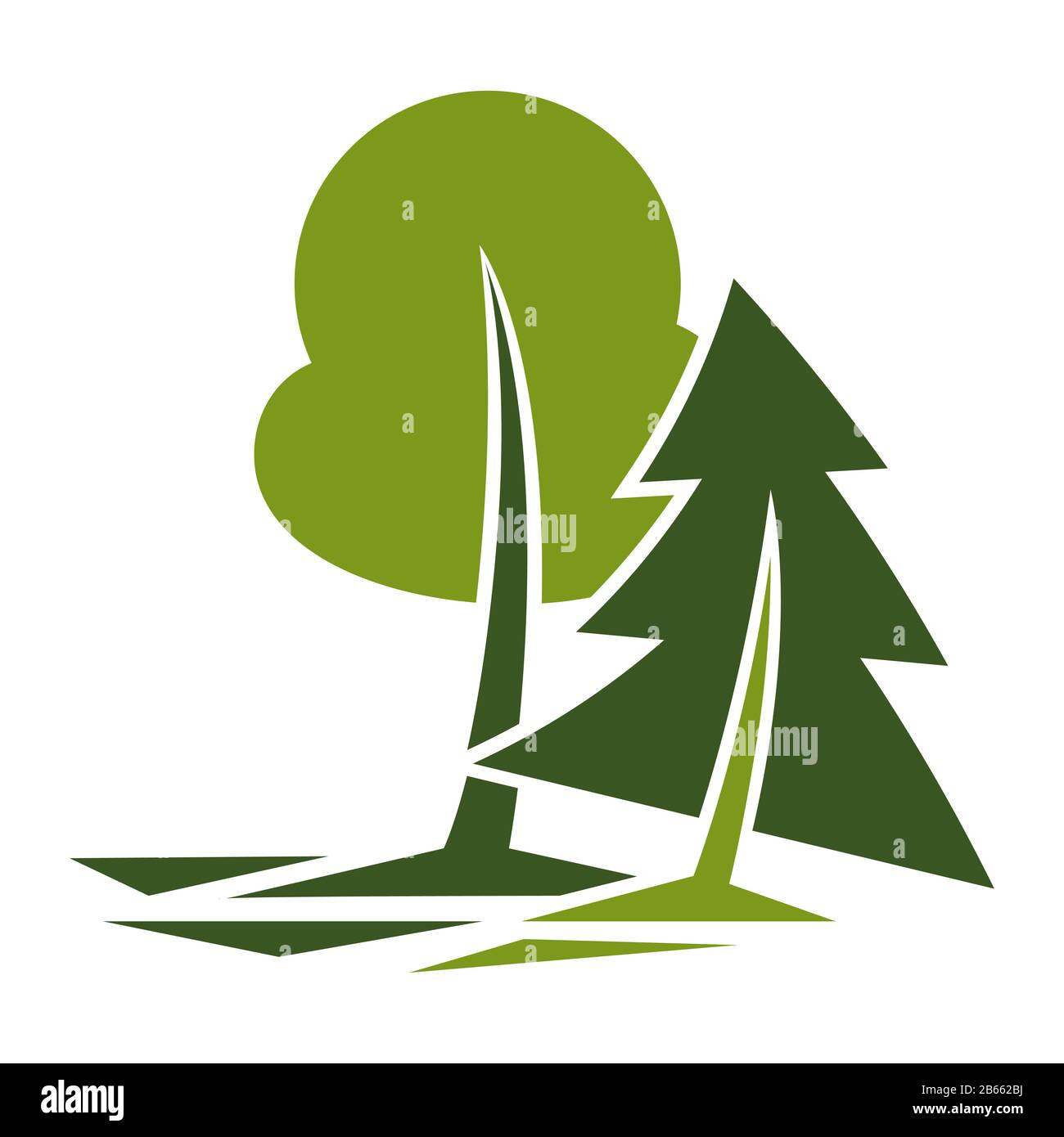 Conifer forest plantation Stock Vector Images Alamy