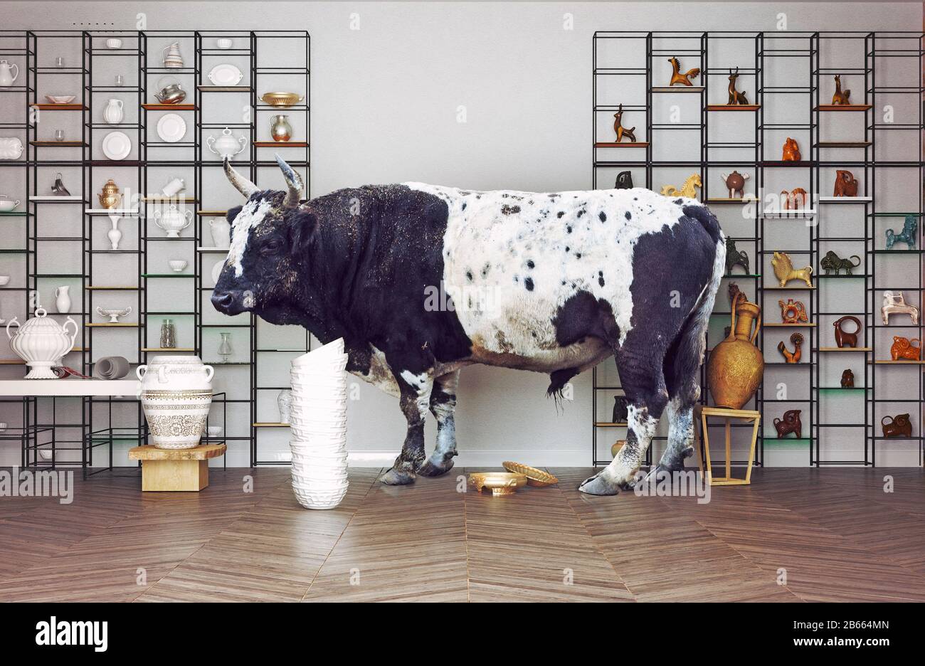 bull in a China shop. Photo and media mixed creative concept Stock Photo