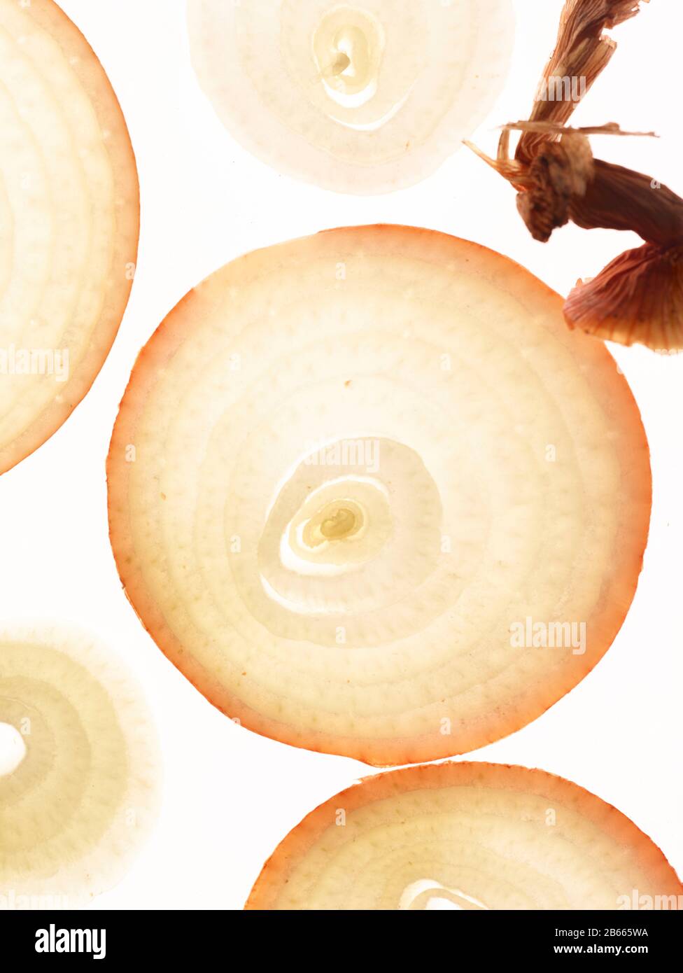 Circular onion slices abstract food still-life on white background Stock Photo