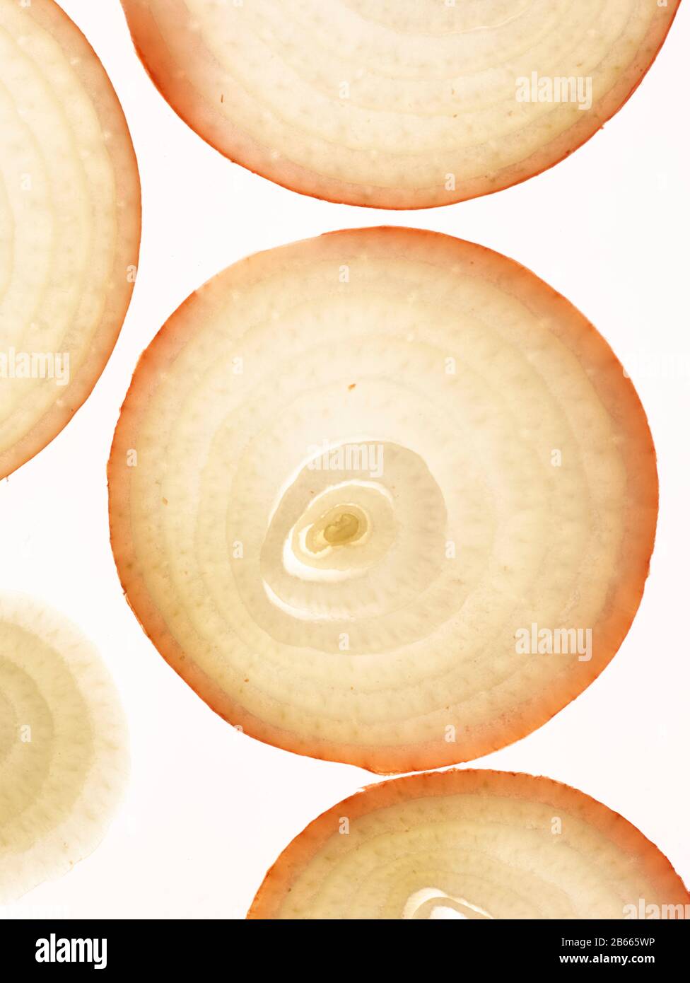 Circular onion slices abstract food still-life on white background Stock Photo