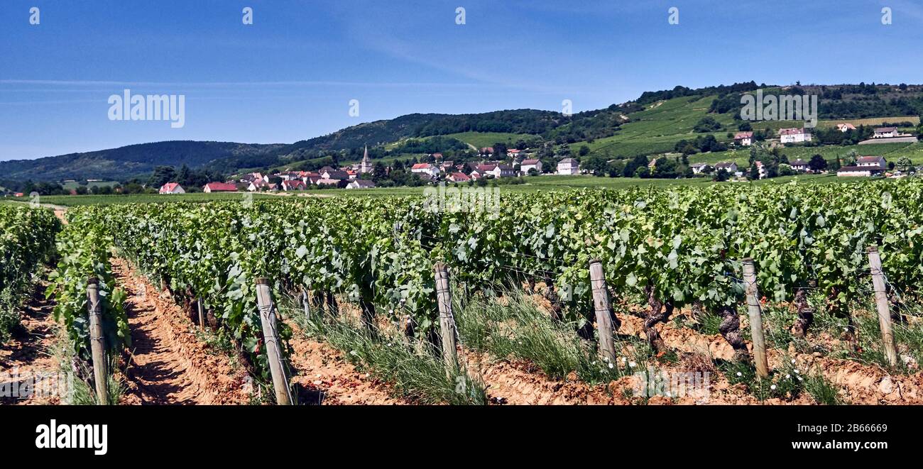 Page 2 Denis Martin High Resolution Stock Photography And Images Alamy