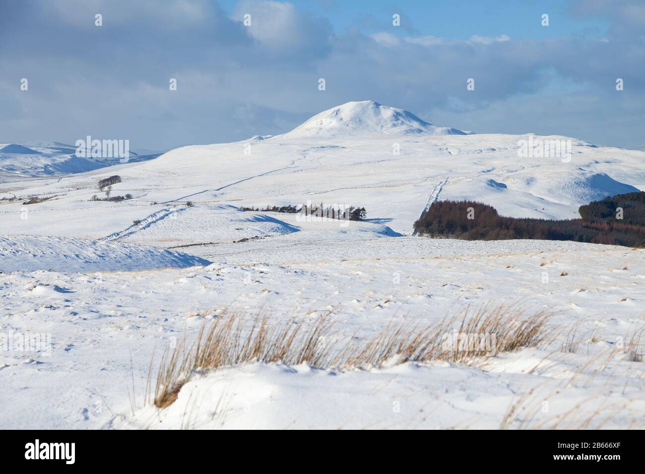 Looking over to West Lomond Hill from East Lomond on a beautiful winters day, Fife, Scotland. Stock Photo