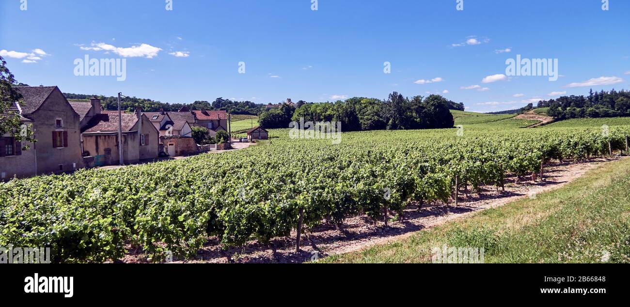 Europe, France , Bourgogne-Franche-Comté, department, Mercurey village , Stock Photo