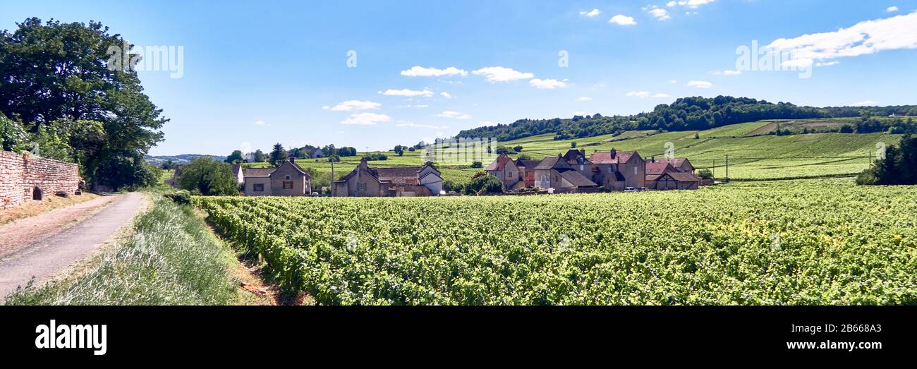 Europe, France , Bourgogne-Franche-Comté, department, Mercurey village , Stock Photo
