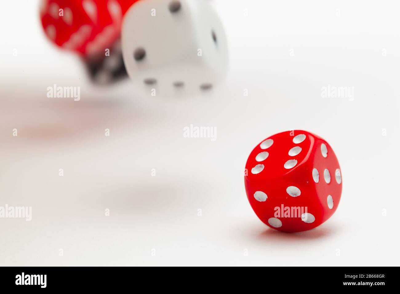 Playing dice at white wooden background. Playing a game with dice