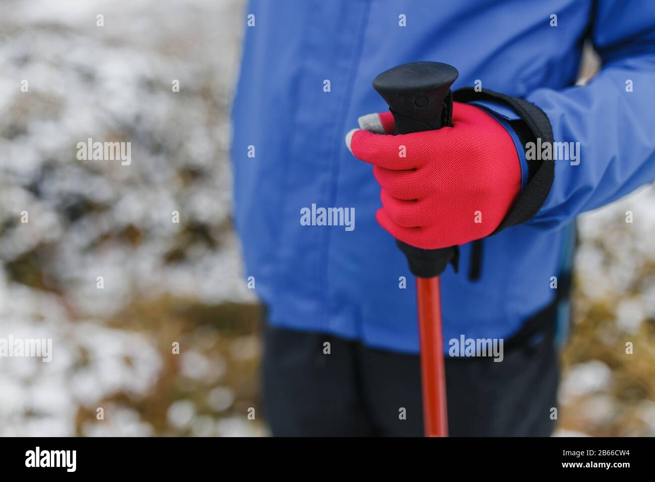 hand in glove with trekking pole closeup grip Stock Photo Alamy