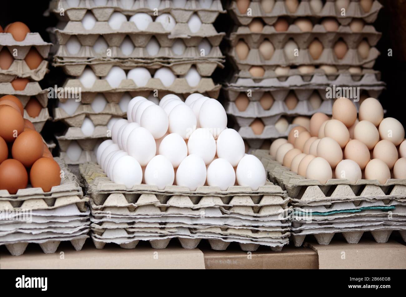 Eggs trays hires stock photography and images Alamy