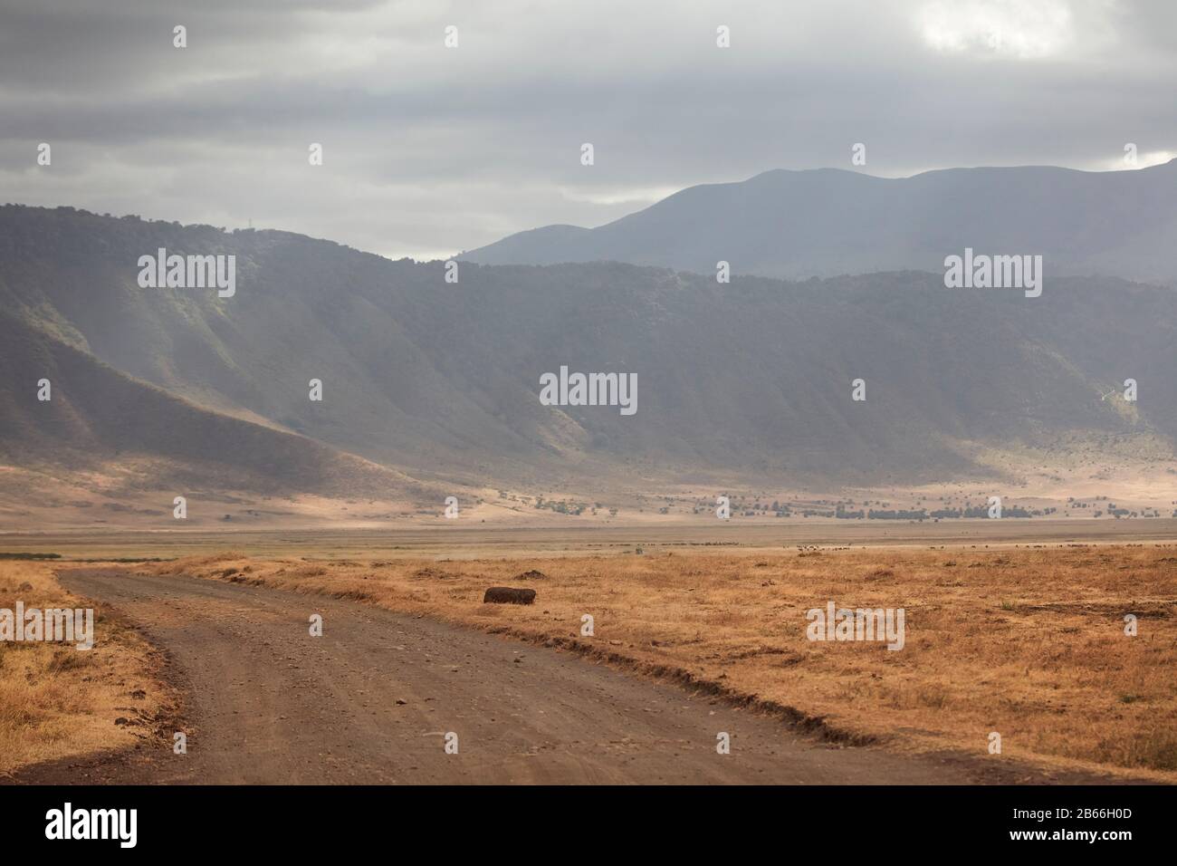 The landscape inside the Ngorongoro Crater, Tanzania, Africa. Stock Photo
