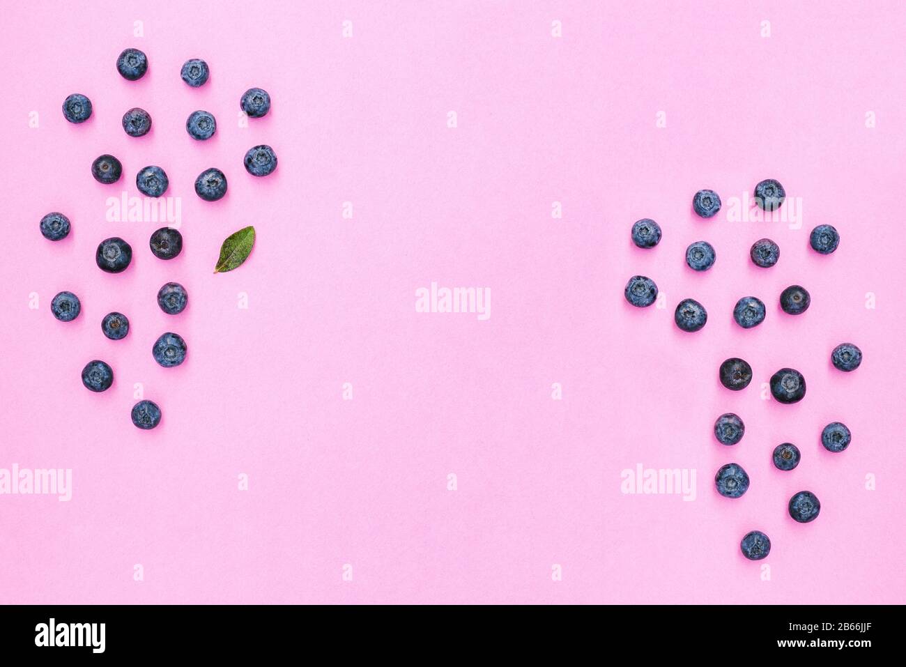 Blueberries on a pink background with copy space. Summer fresh berries. Healthy eating concept Stock Photo