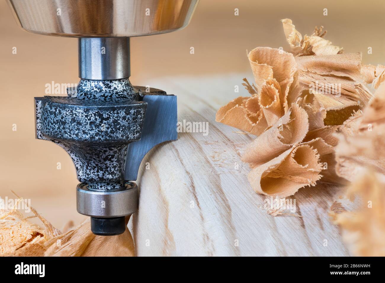 Shaping copying shank router bit clamped in chuck of a working machine tool. Sharp steel woodworking milling cutter with bearing forming edge on wood. Stock Photo