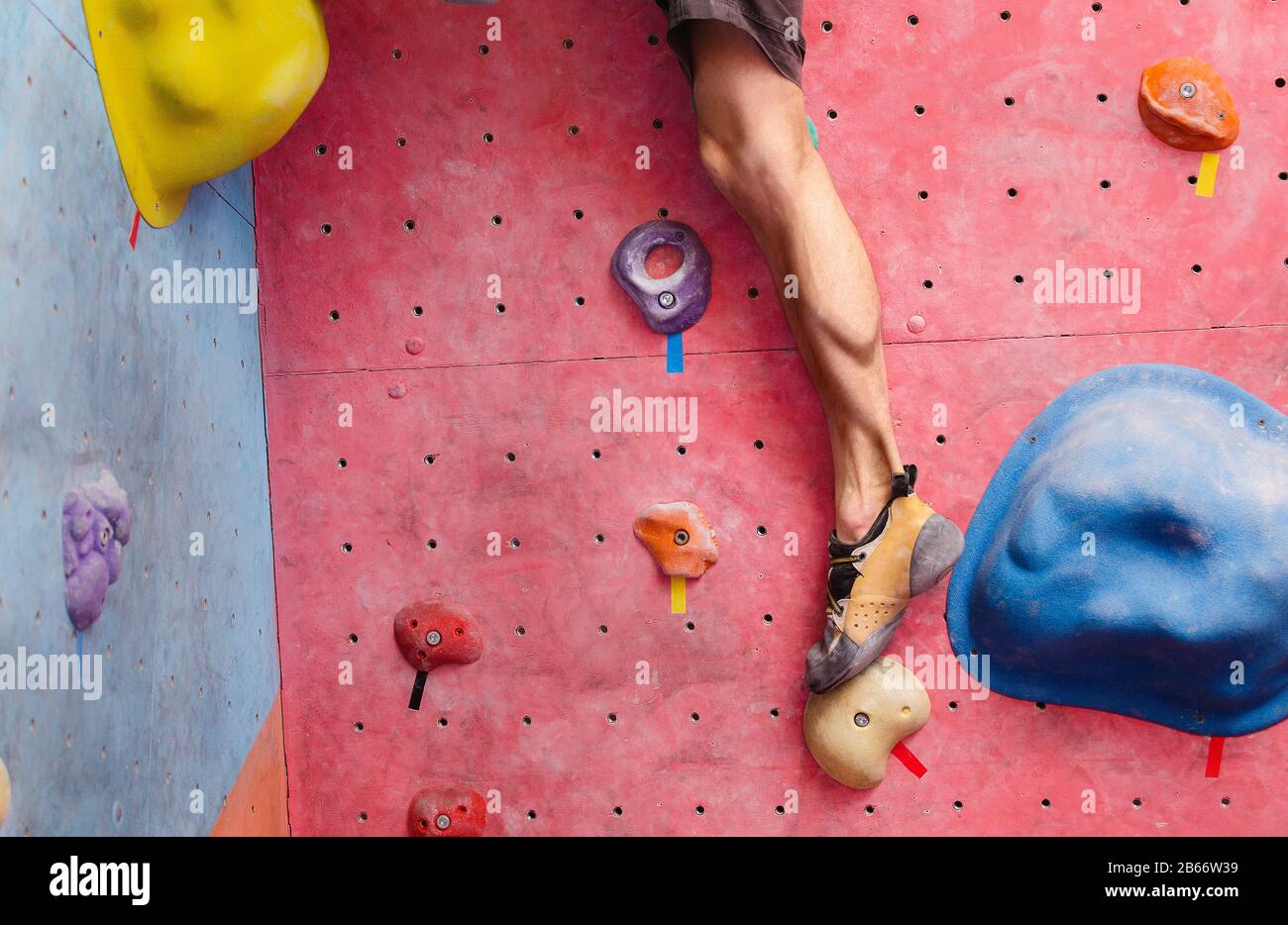 male climber training in bouldering gym wall, close up of leg muscles with shoes Stock Photo Alamy