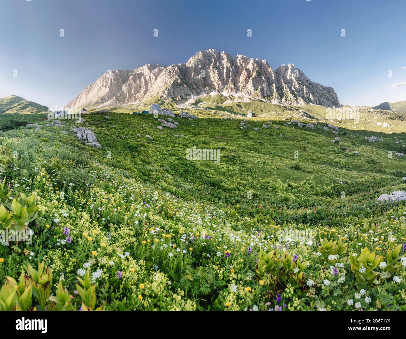 Wildflower valley sun beam hires stock photography and images Alamy