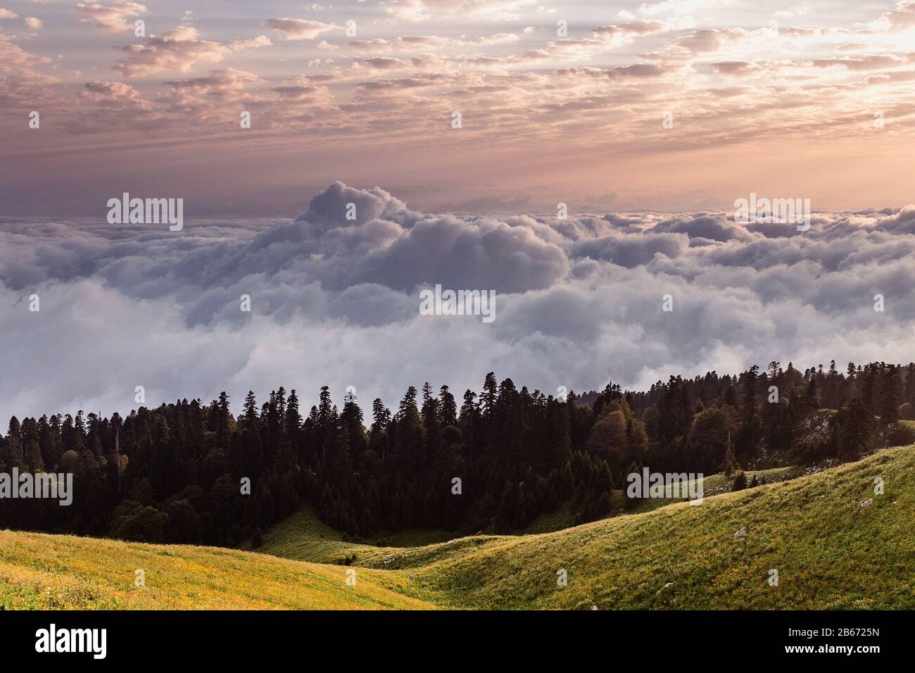 fog and cloud mountain valley landscape, view from above Stock Photo ...