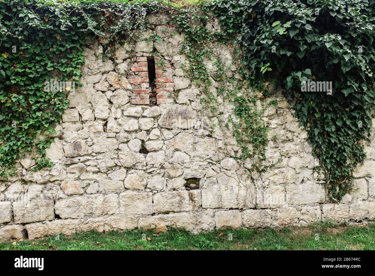 Medieval old castle wall overgrown with ivy Stock Photo - Alamy