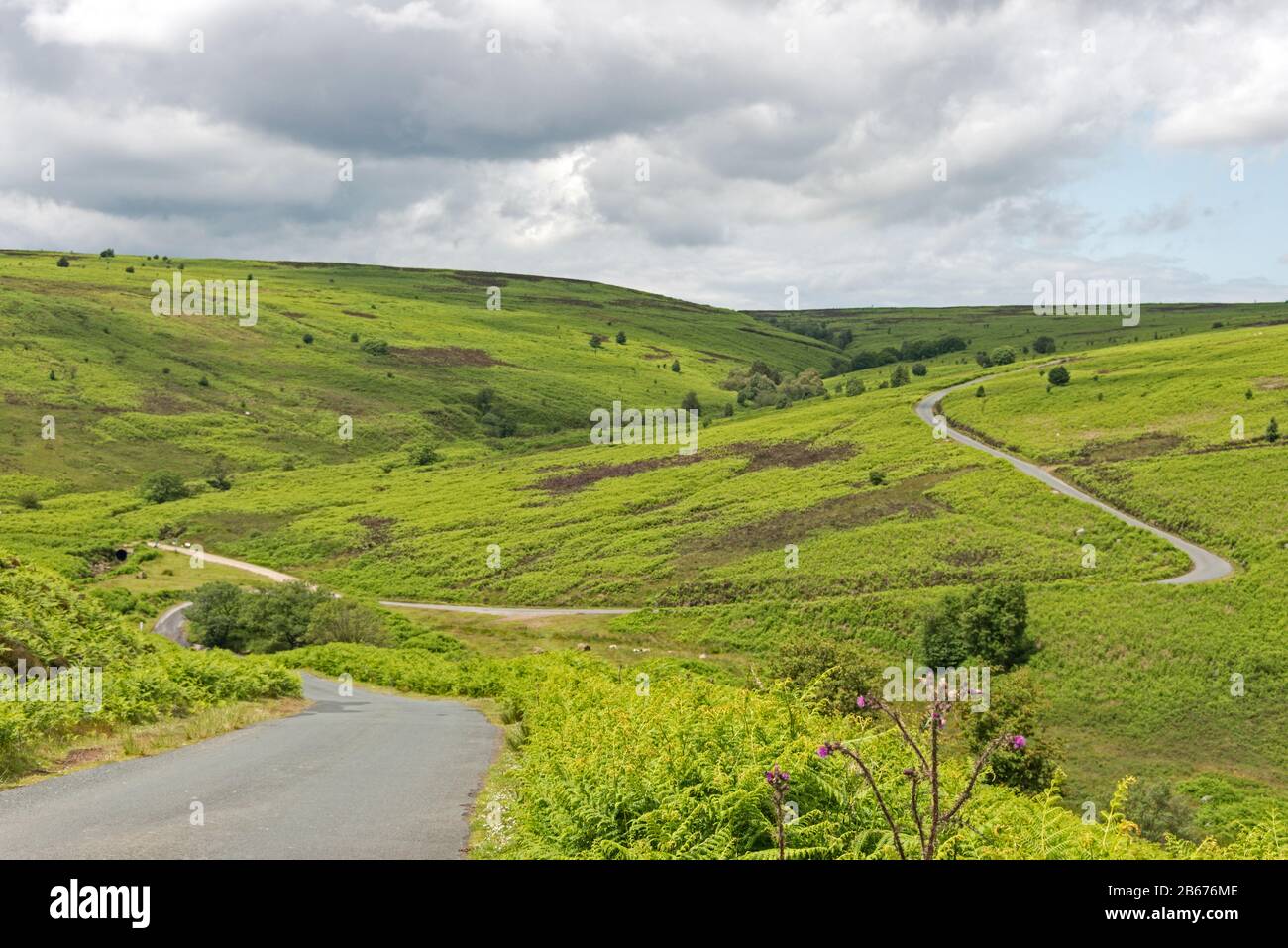 A narrow twoway traffic road over the Yorkshire moors in the North