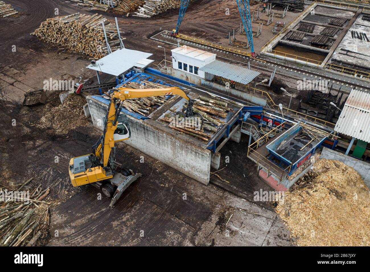 a loader loads logs at a wood processing factory from above from a ...