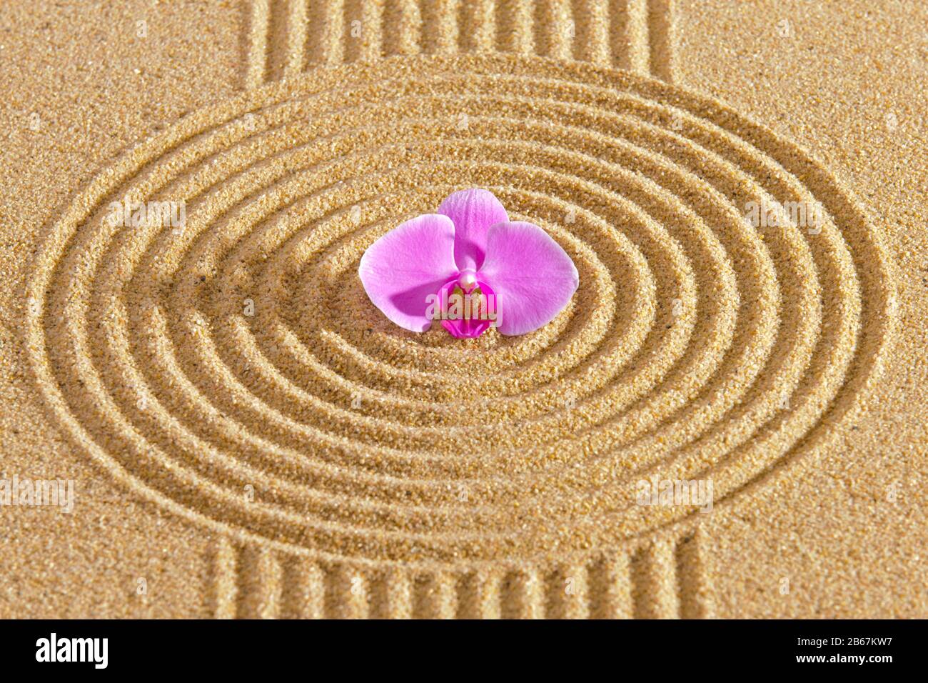 Japanischer ZEN Garten der Meditation mit Sand und Stein Stock Photo