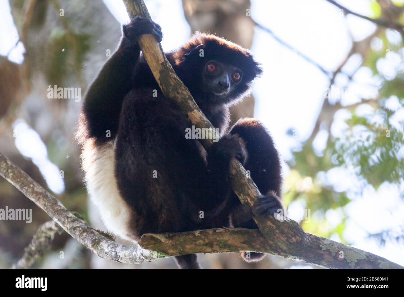 Plaque En Métal Vintage En Forme De Papillon Et De Fleurs - What A