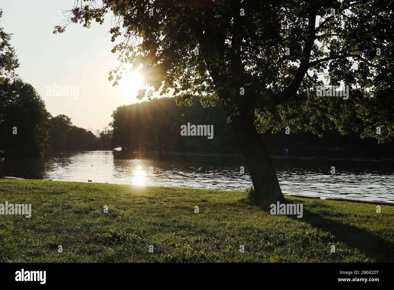 City park in Minsk Belarus at sunset. Tree on river bank with green grass, sun rays, nice evening mood Stock Photo