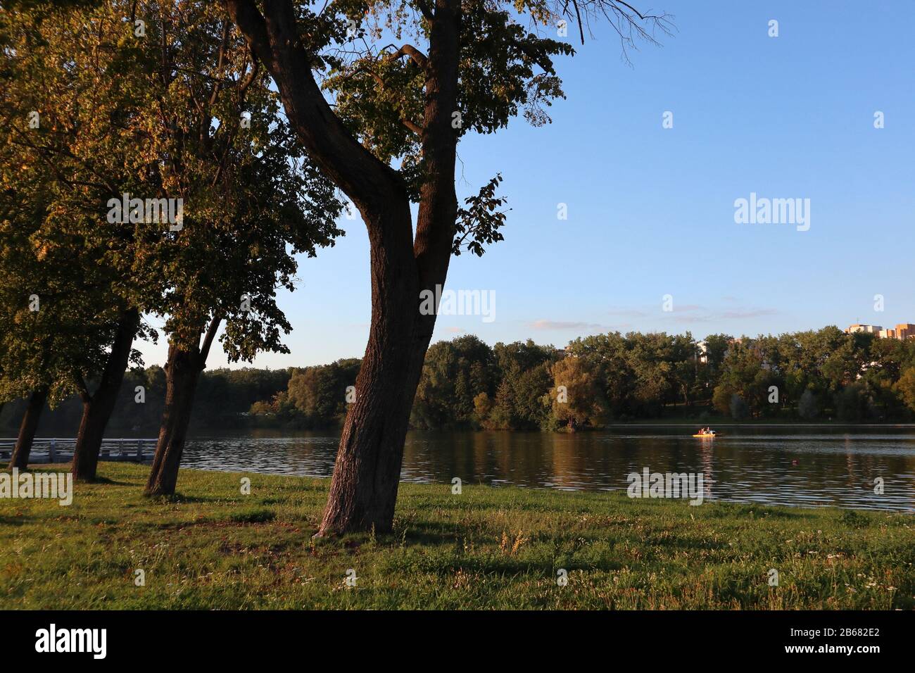 City park in Minsk Belarus at sunset. Tree on river bank with green grass, sun rays, nice evening mood Stock Photo