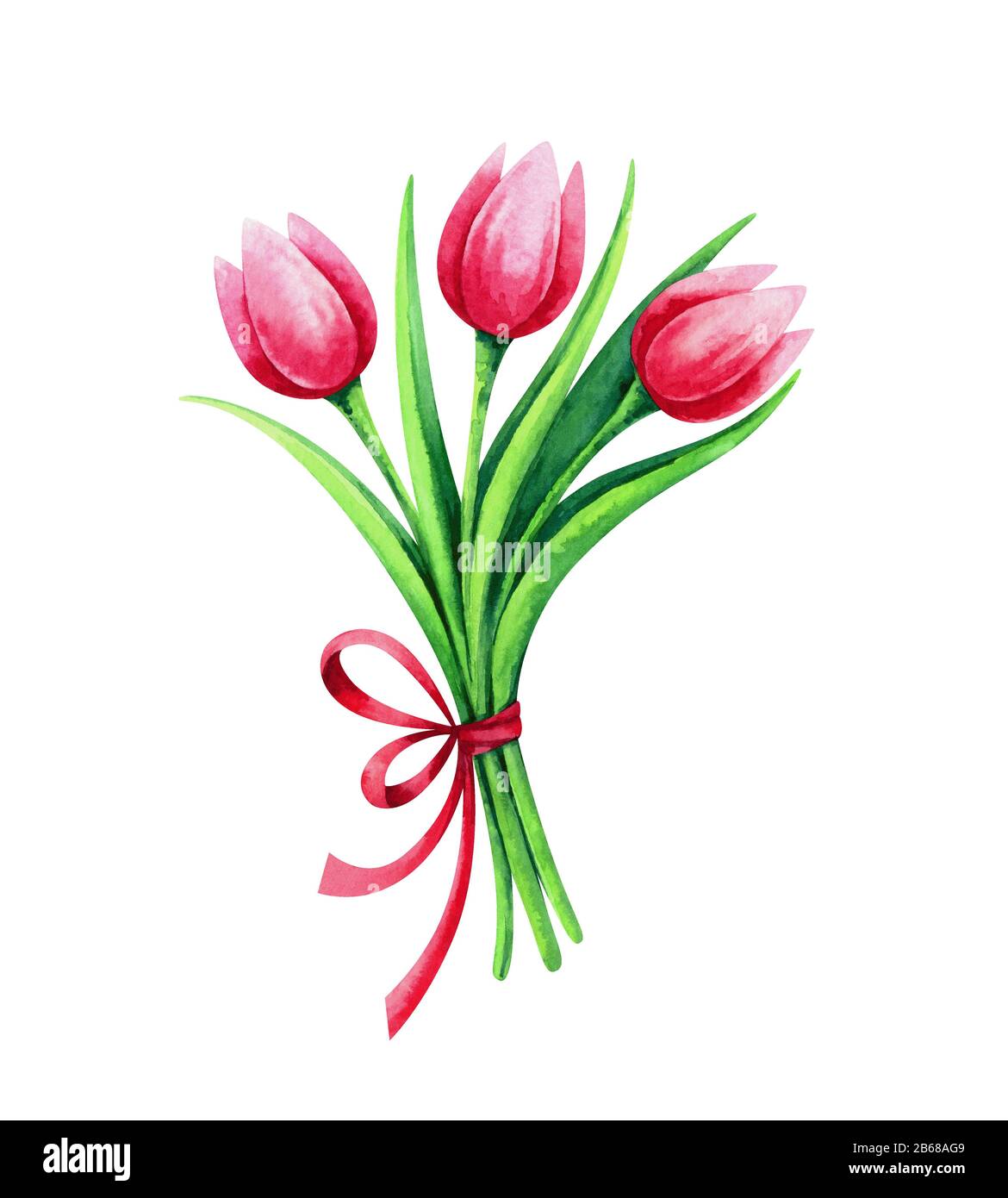 Watercolor illustration of tulip bouquet Stock Photo Alamy
