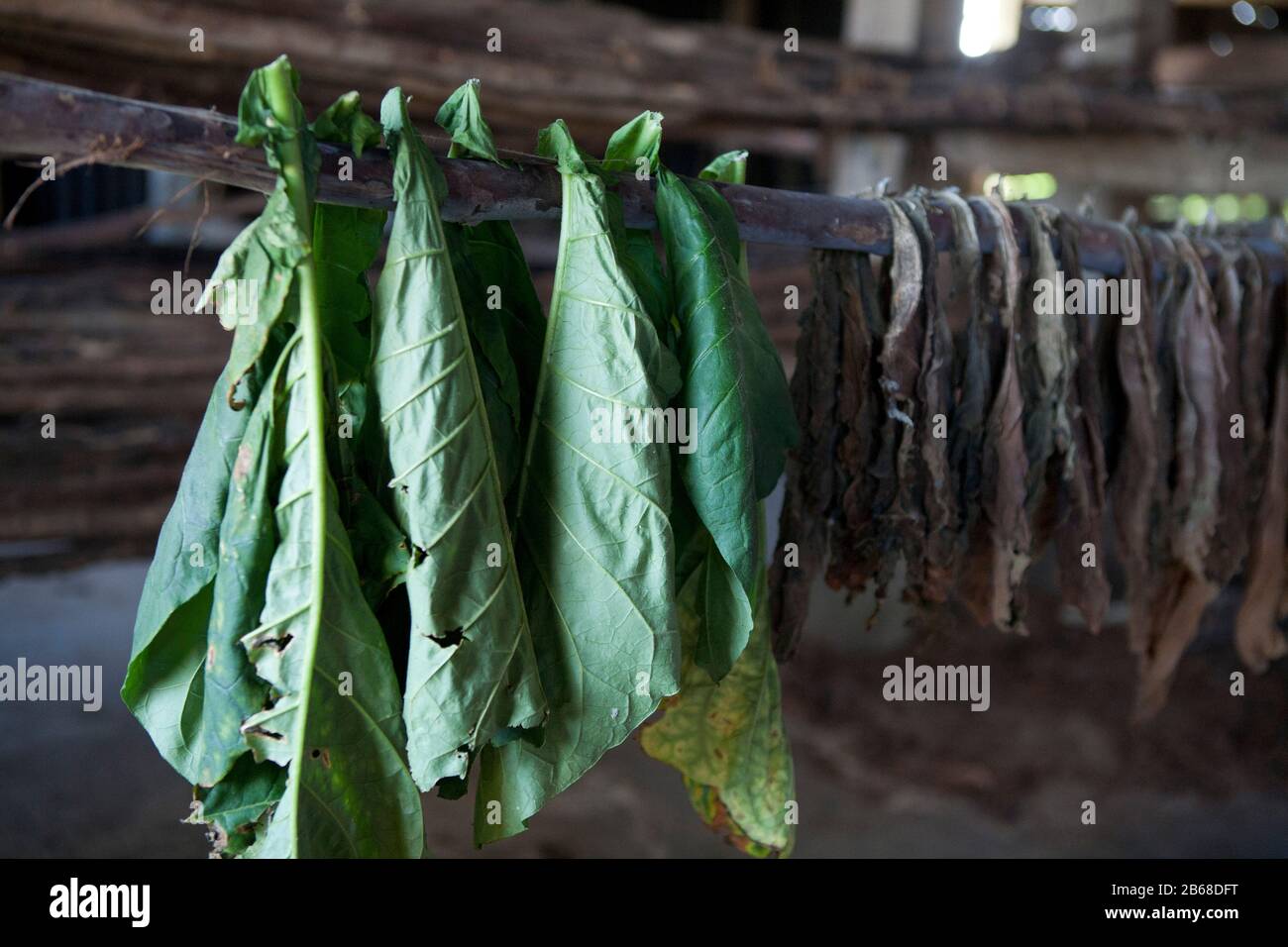 icd-10 code for tobacco abuse unspecified The ICD-10 Transition: What You Need to Know