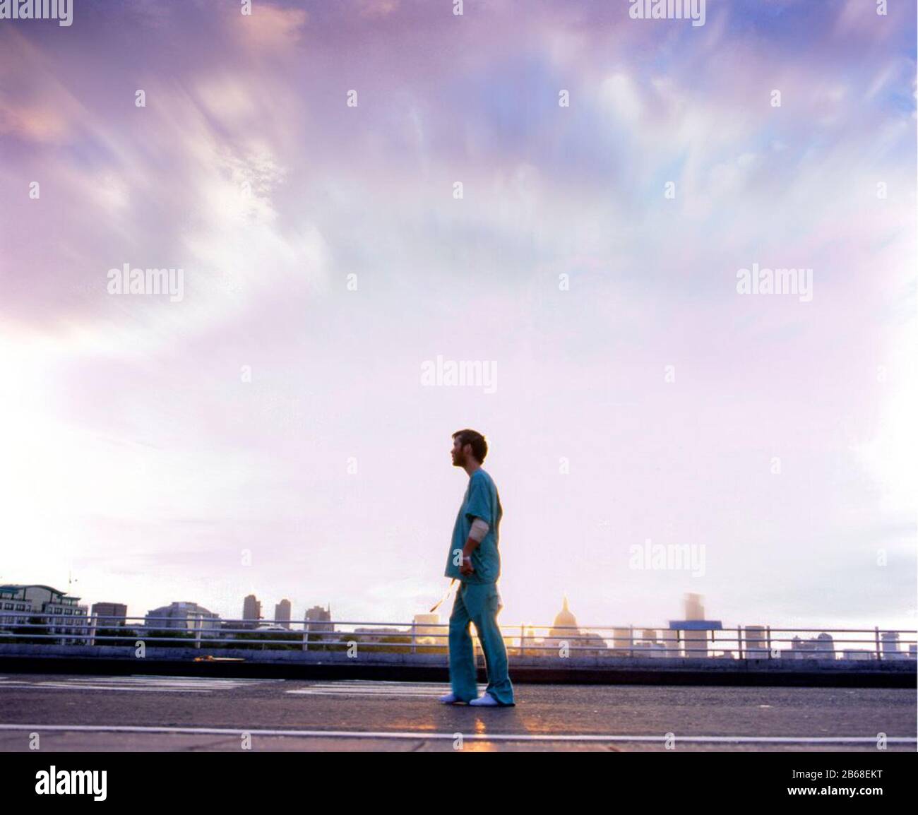 woman in 28 days later movie poster woman in 28 days later movie poster