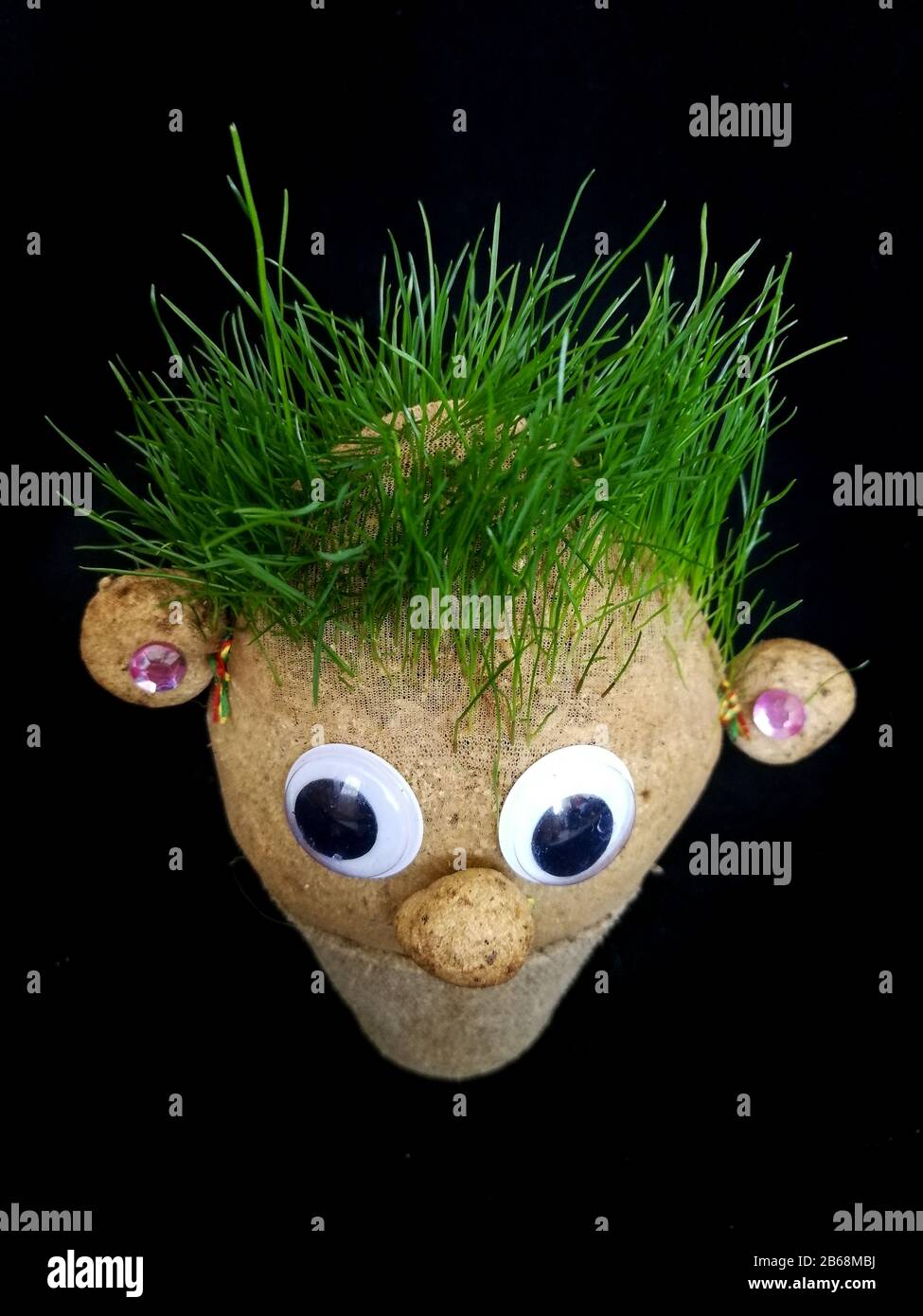 Homemade Arts Craft Grass Head Plants Stock Photo 1955942770