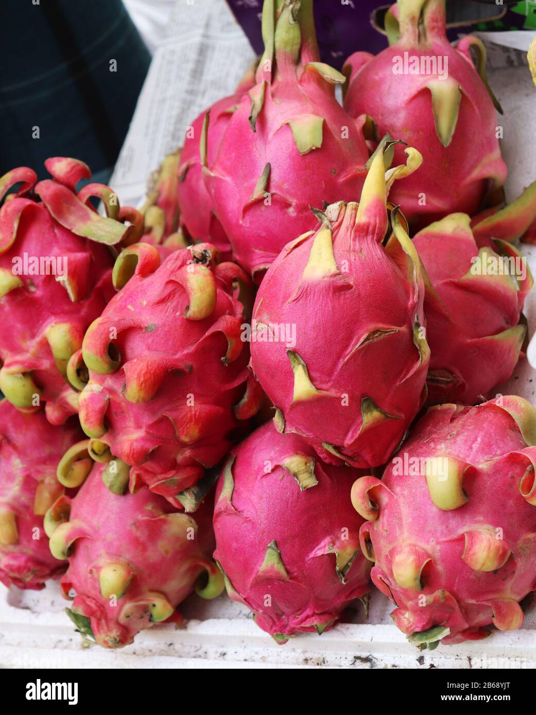 Buy Jumbo Vietnamese Pink Dragon Fruit (1 count)