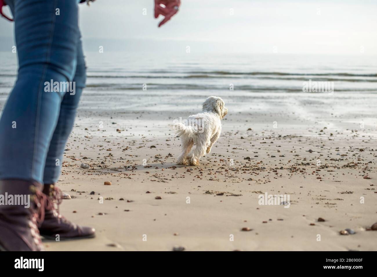 Baby beach ball hires stock photography and images Alamy