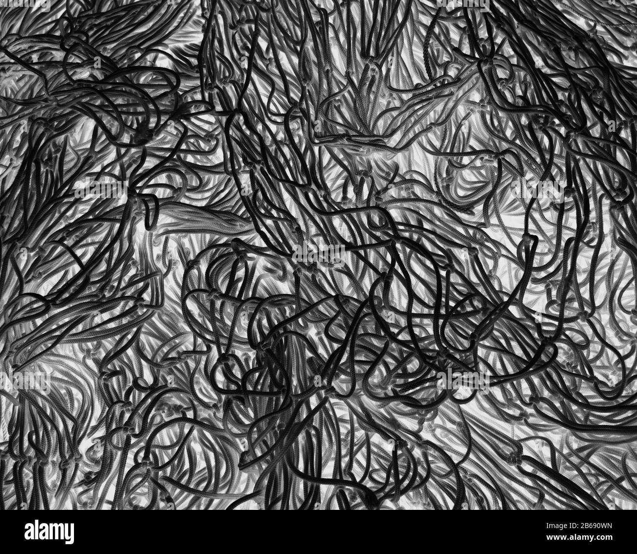 Abandoned quay Black and White Stock Photos & Images - Alamy