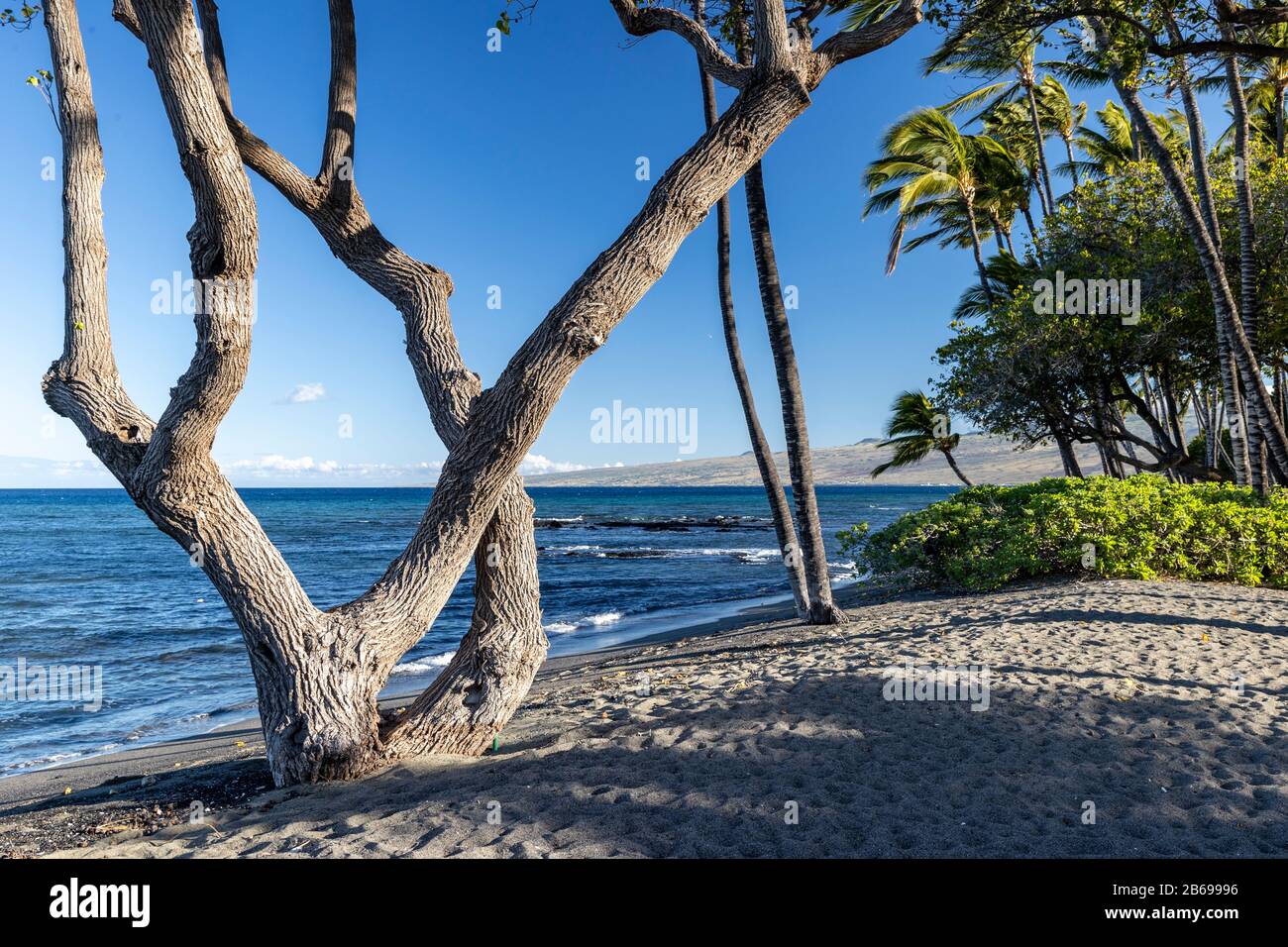 Beach, Mauna Lani, Hawaii Stock Photo Alamy