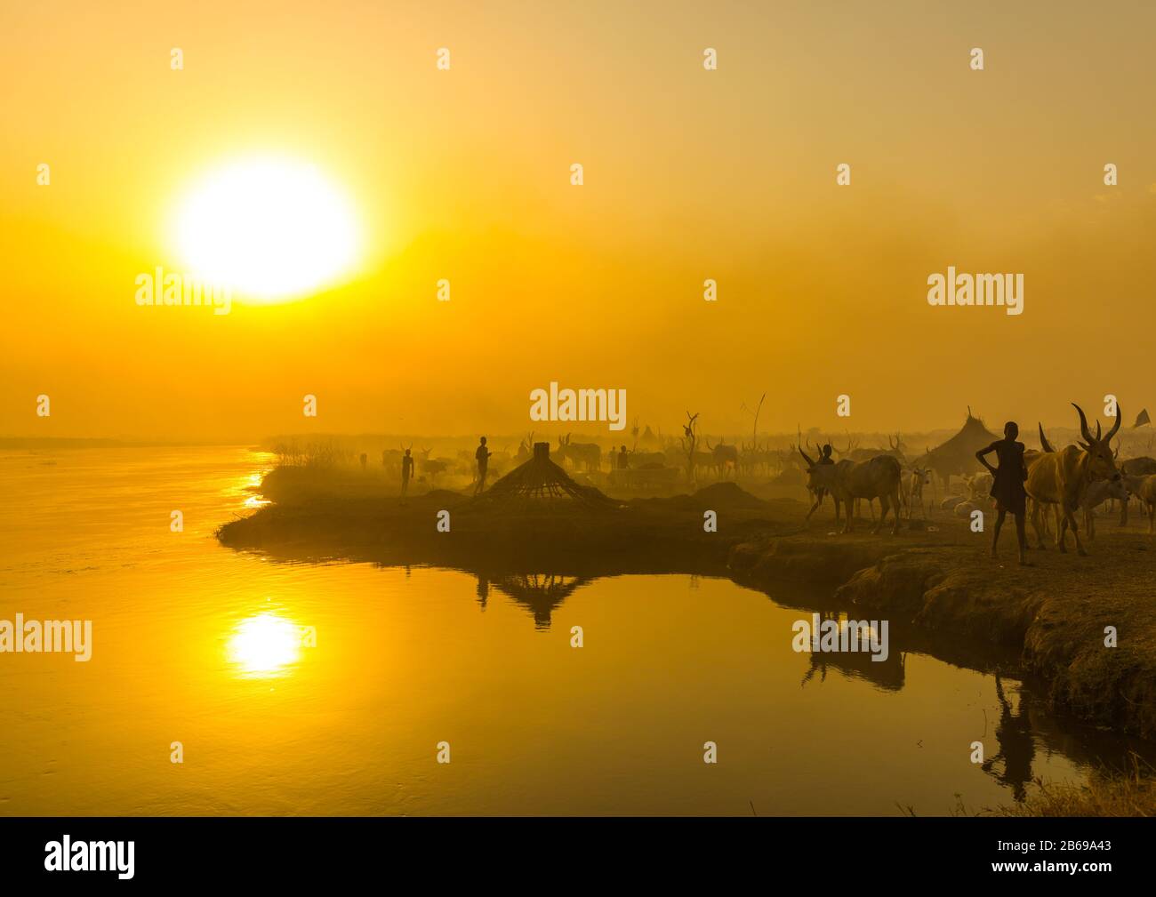 Mundari tribe people and cows on the bank of river Nile at sunset, Central Equatoria, Terekeka, South Sudan Stock Photo