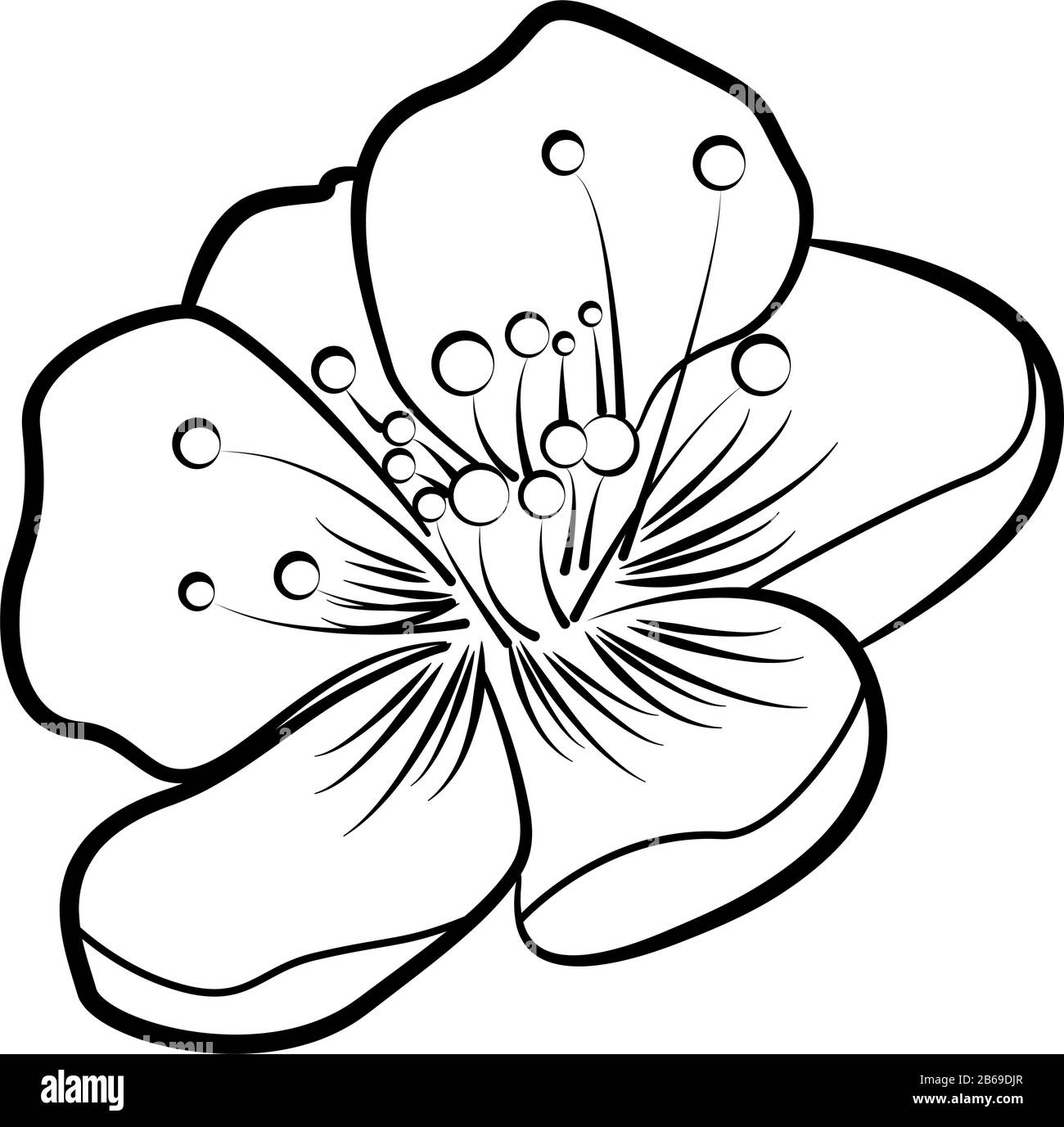 Apple blossom. Contour pattern Stock Vector