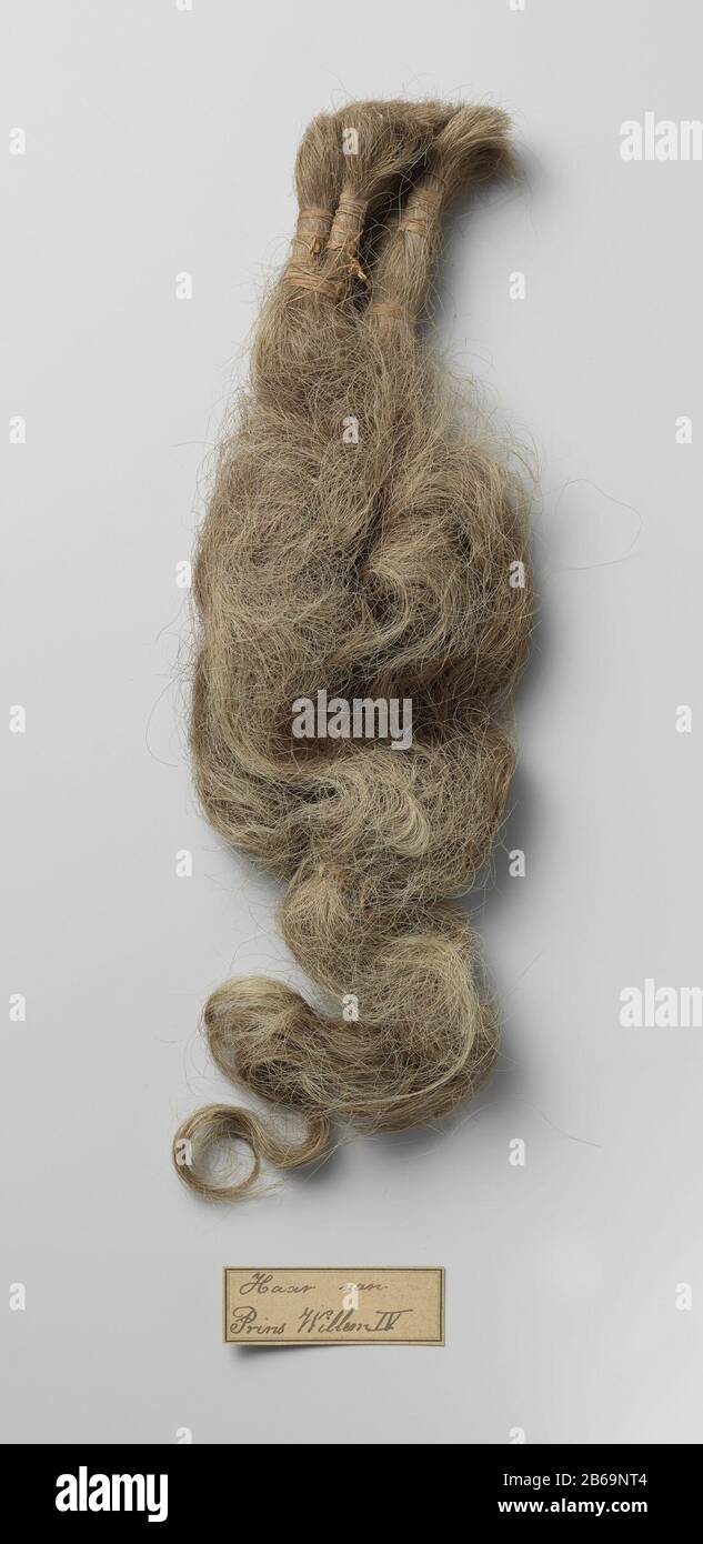 Eight locks of Prince William IV, NM-NM-1000 Flinke bos lichtgrijs  verkleurd haar, aan één eind tot acht vlechten samengebonden met dun touw,  aan het andere eind ook vastgebonden. Manufacturer : niet van, image size:633x1390