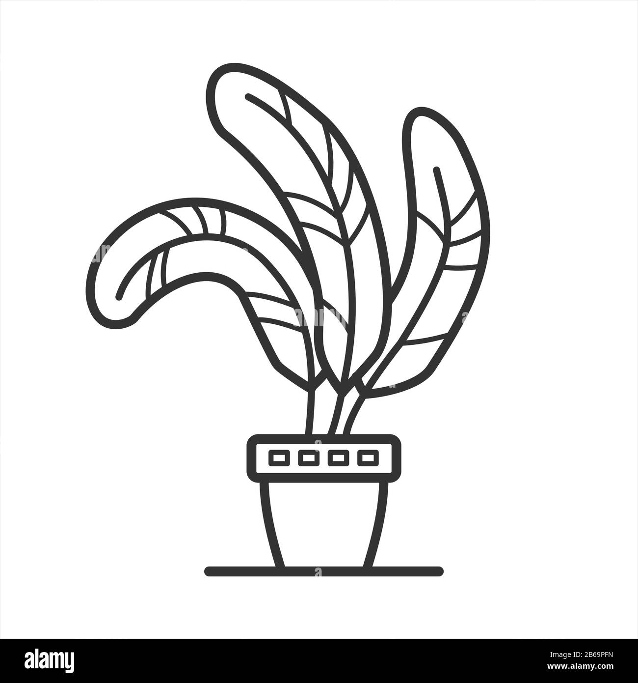 outline plant with wide leaves in a pot; home tropical plant; isolated on a white background; coloring book page Stock Vector