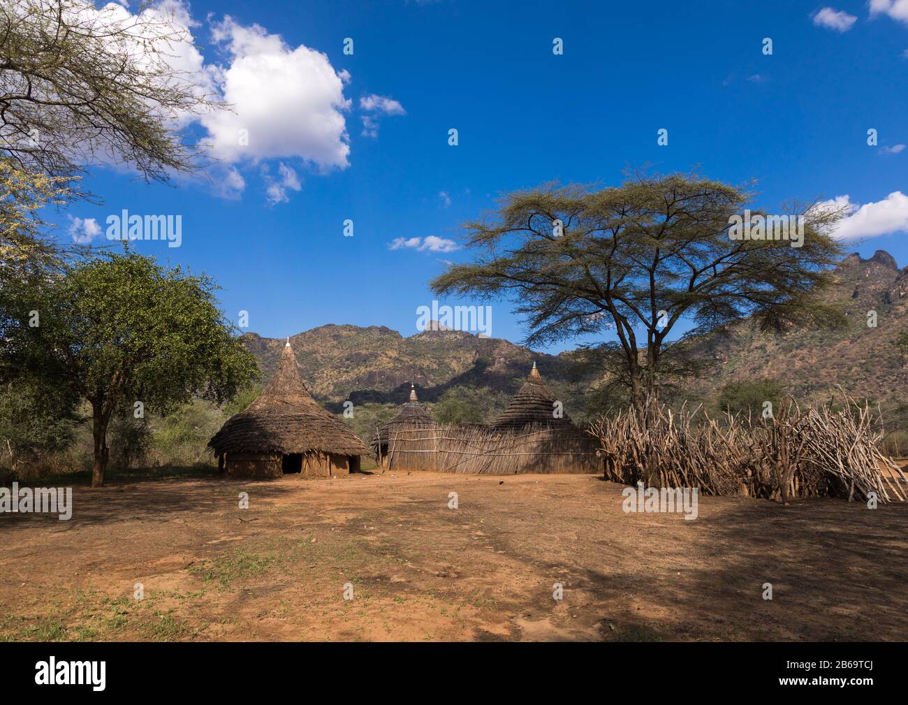 Houses in a Larim tribe traditional village, Boya Mountains, Imatong