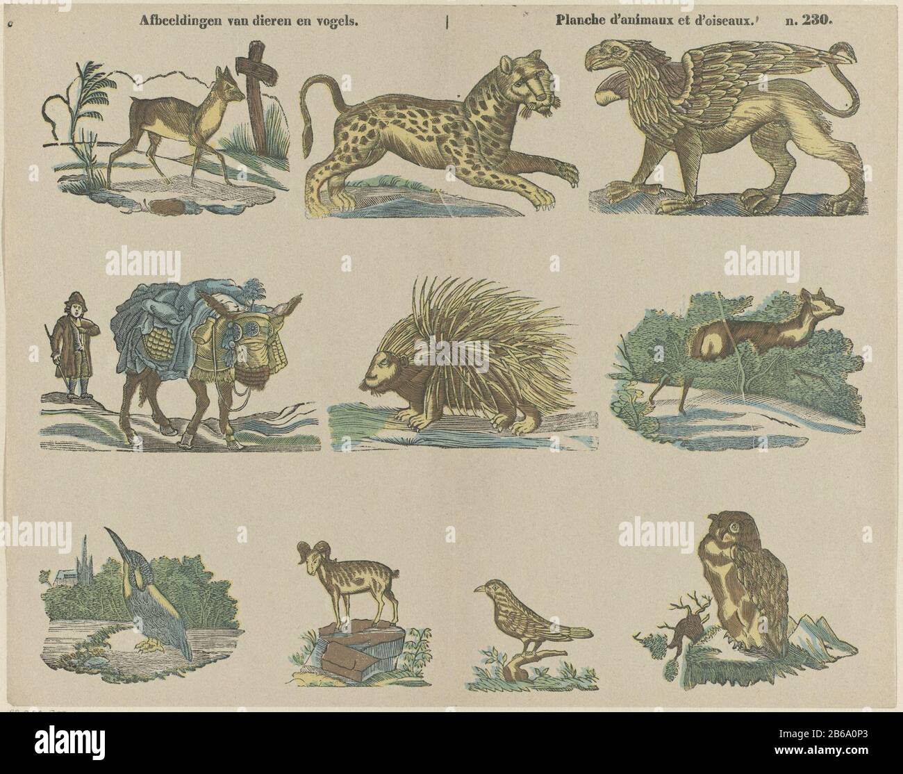 Pictures of animals and birds Planche d'animaux et d'oiseaux (title object)  Leaf with 10 performances of various animals Where: under a panther, a  porcupine, a goat and an owl. Numbered upper right: