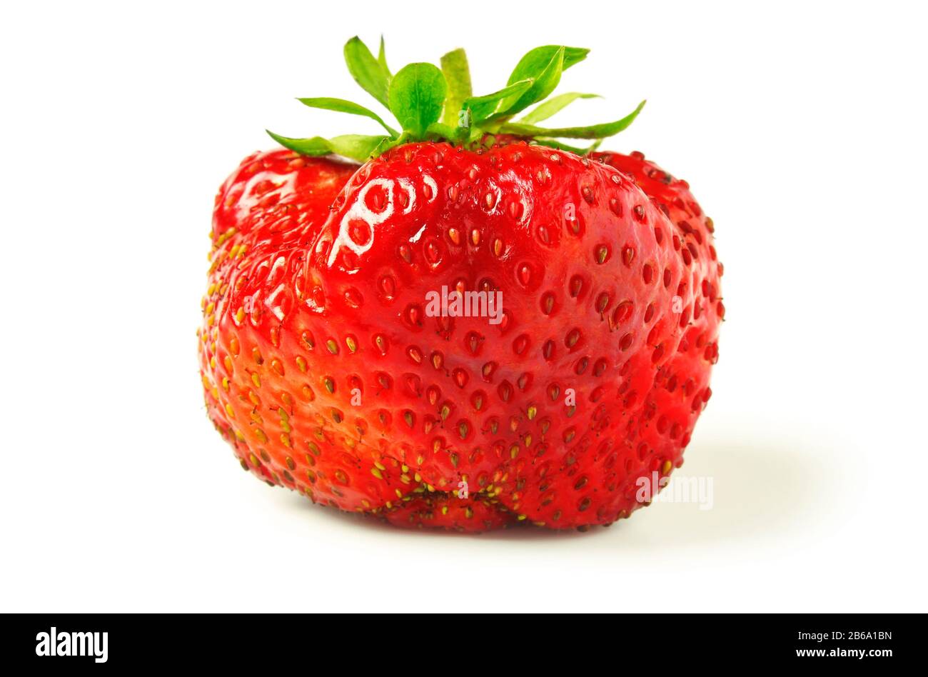 Strawberry closeup isolated on white background Stock Photo - Alamy
