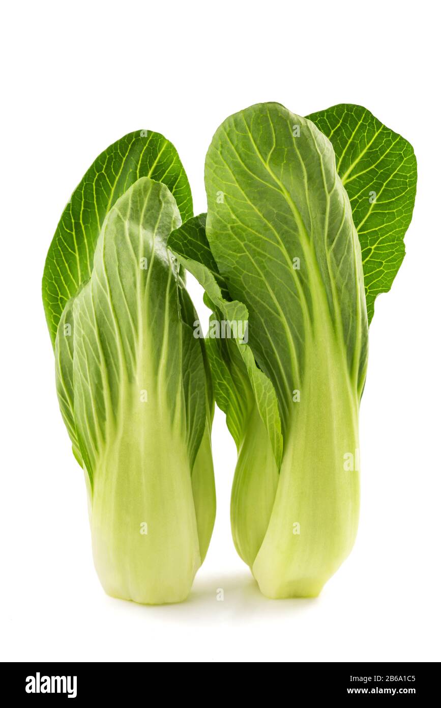 Brassica Rapa Chinensis High Resolution Stock Photography And Images Alamy