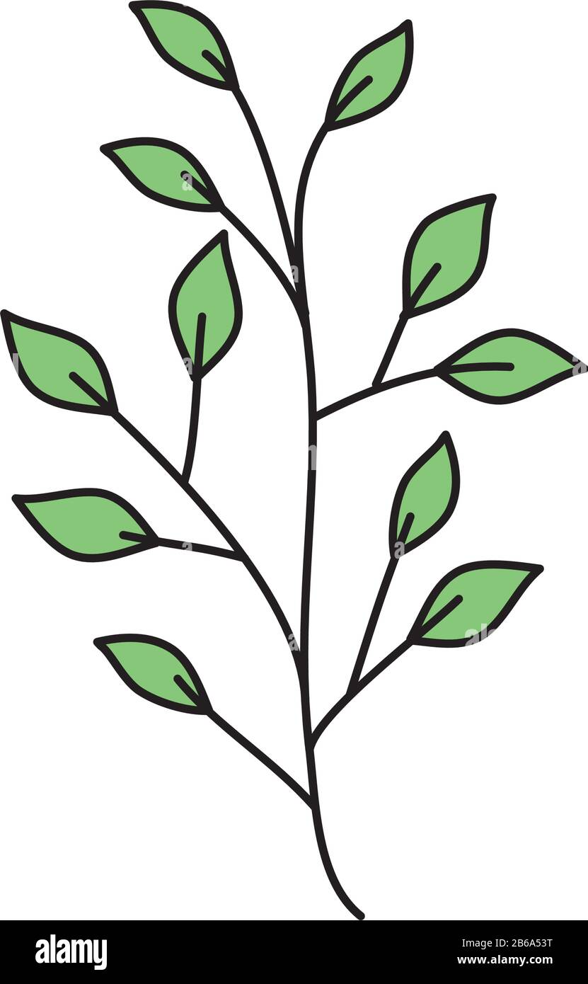 branch with leafs nature ecology isolated icon Stock Vector Image & Art ...