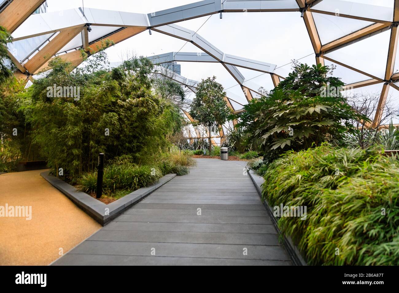 Crossrail Place Roof Garden, urban retreat and green architecture, Canary Wharf, London Stock Photo