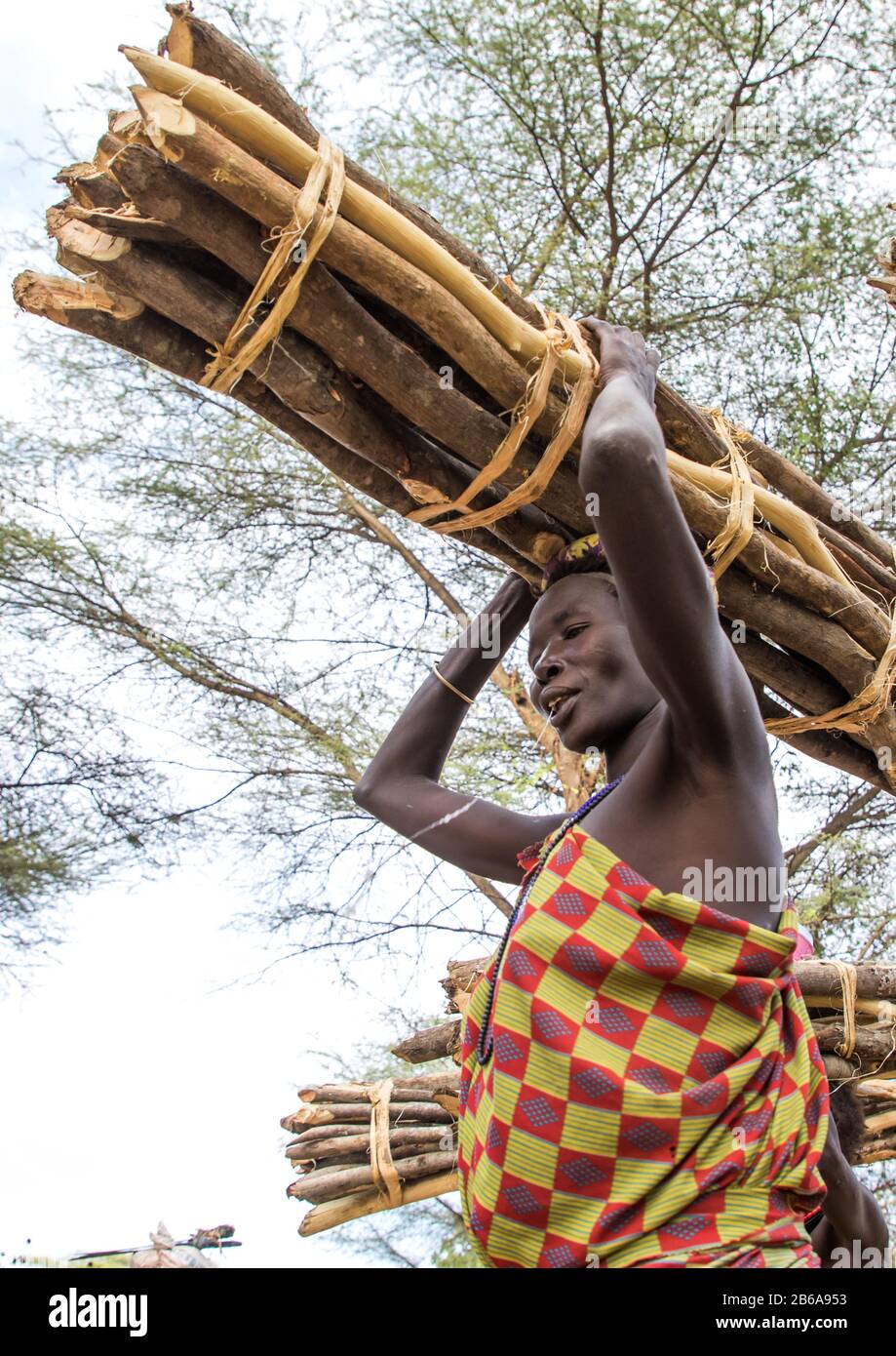 Toposa tribe woman carrying wood branches on her head, Namorunyang State, Kapoeta, South Sudan Stock Photo