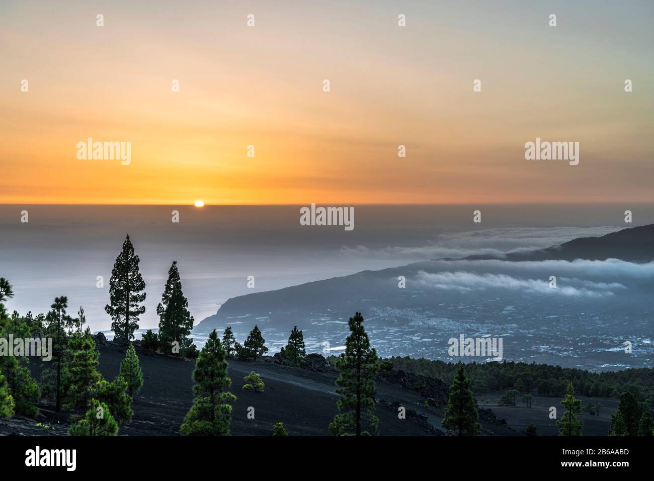 View westwards from Llano del Jable at sunset over native Canarian pine forest and young volcanic landscape, La Palma, Canary Islands Stock Photo