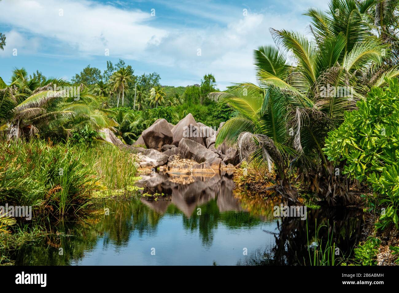 Praslin Seychelles, beach tropical island with palm trees Seychelles Praslin  Stock Photo