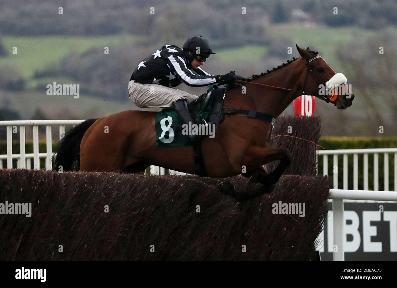 Imperial Aura ridden by David Bass goes on to win the Northern Trust Company Novices' Handicap Chase during day one of the Cheltenham Festival at Cheltenham Racecourse, Cheltenham. Stock Photo