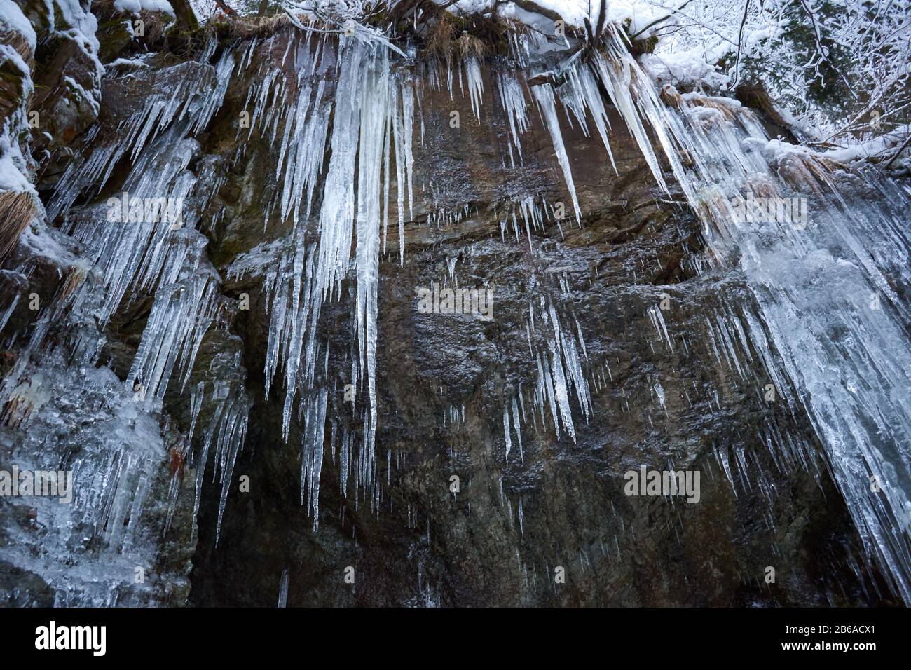 Crystal clear sharp icicles hanging down on the mountain Stock Photo