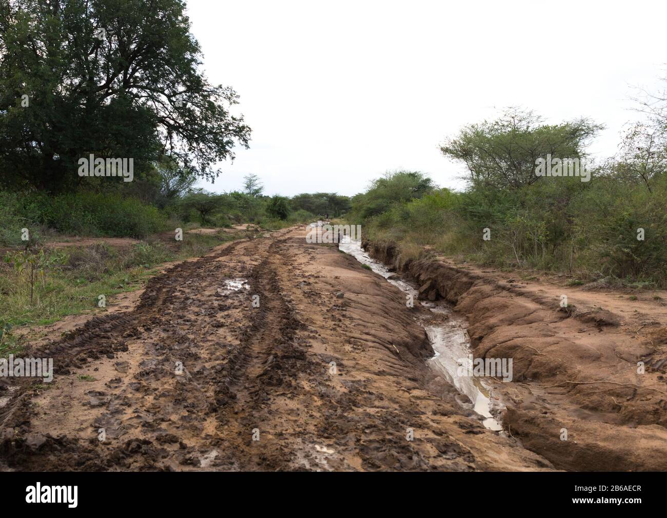 Muddy road after the rainy season, Namorunyang State, Kapoeta, South Sudan Stock Photo